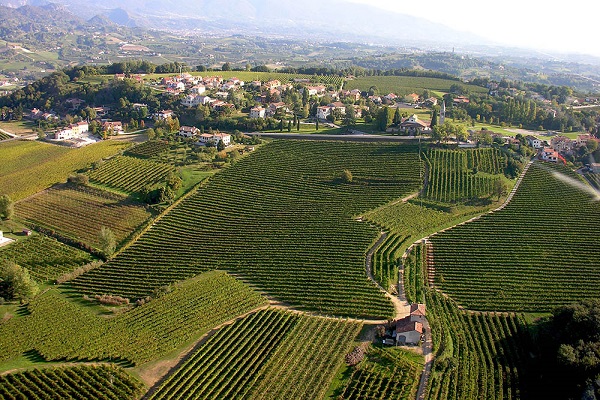 THE FELETTO: a unique terroir, known for its great wines since forever